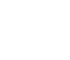 Carnegie Foundation classification